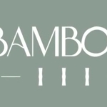 BAMBOO 3