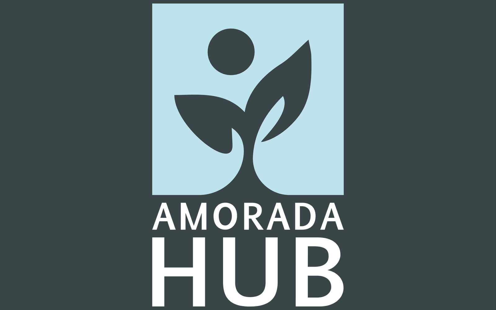 Amorada Hub