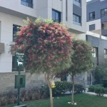 بينتا هاوس متشطب بالكامل للبيع في كمبوند بالتجمع الخامس