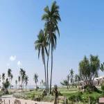 فيلا مستقله 265 متر للبيع في كمبوند ازها الساحل الشمالي