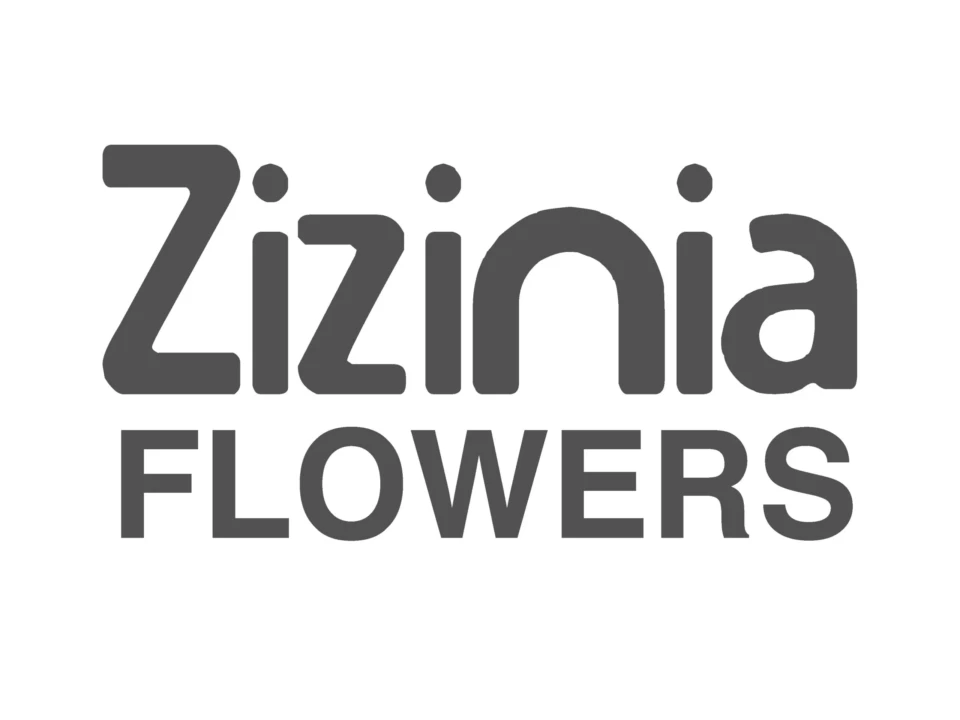 Zizinia Flowers