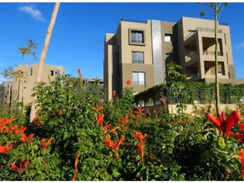 بنتهاوس فاخر جاهز للسكن في Palm Parks