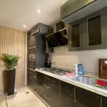 بينتهاوس تشطيب فاخر فيو مفتوح لانداسكيب و ليك