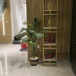 بينتهاوس تشطيب فاخر فيو مفتوح لانداسكيب و ليك