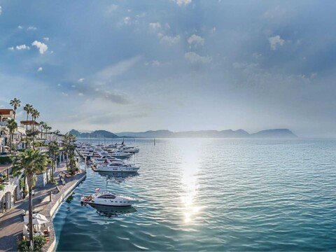 SouthMED